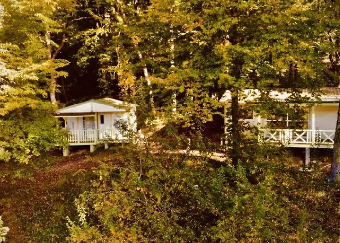 Camping Mobil Home - 6 Pers., Terrasse - Api-1-52-1587